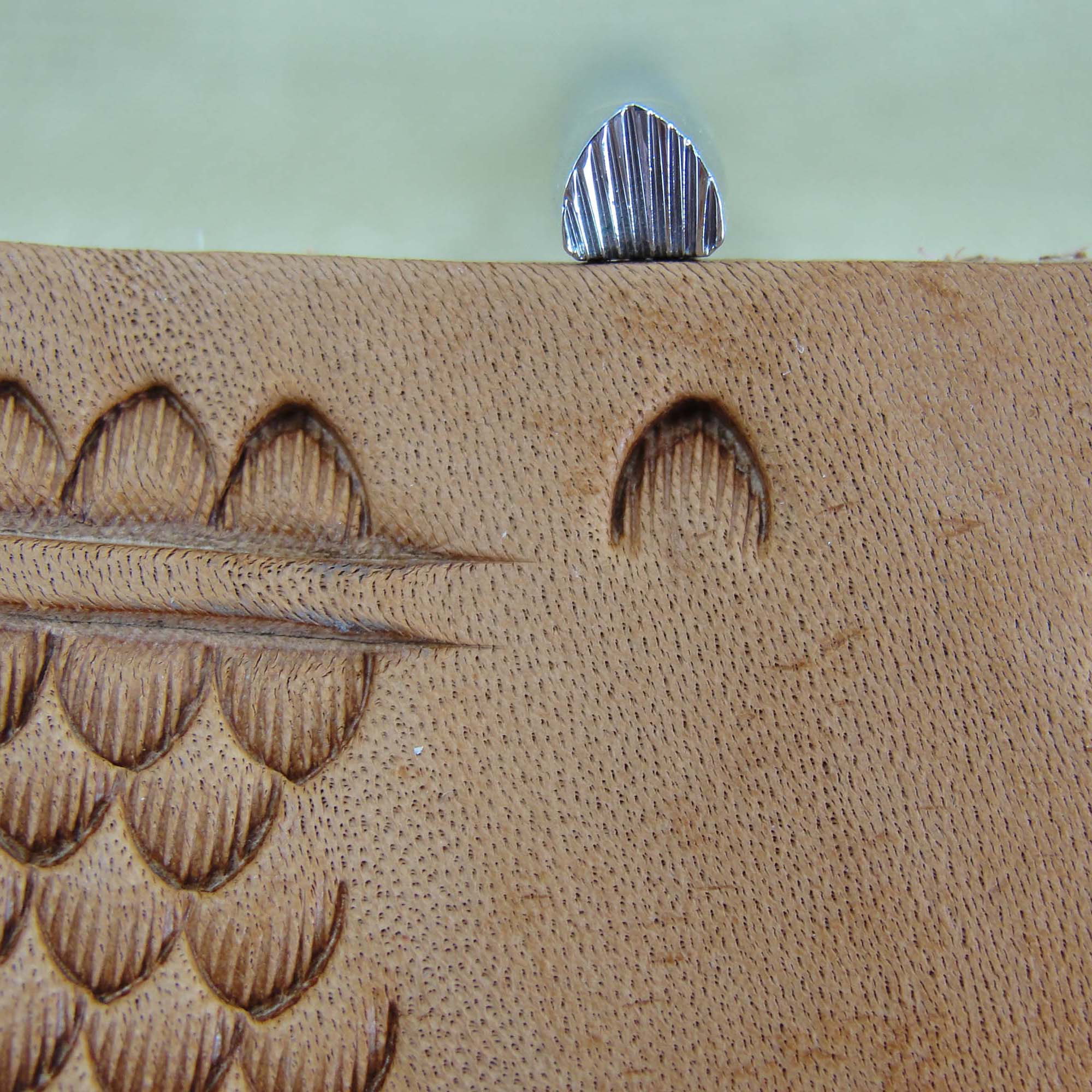 356 Small Mule's Foot / Scale [USED]