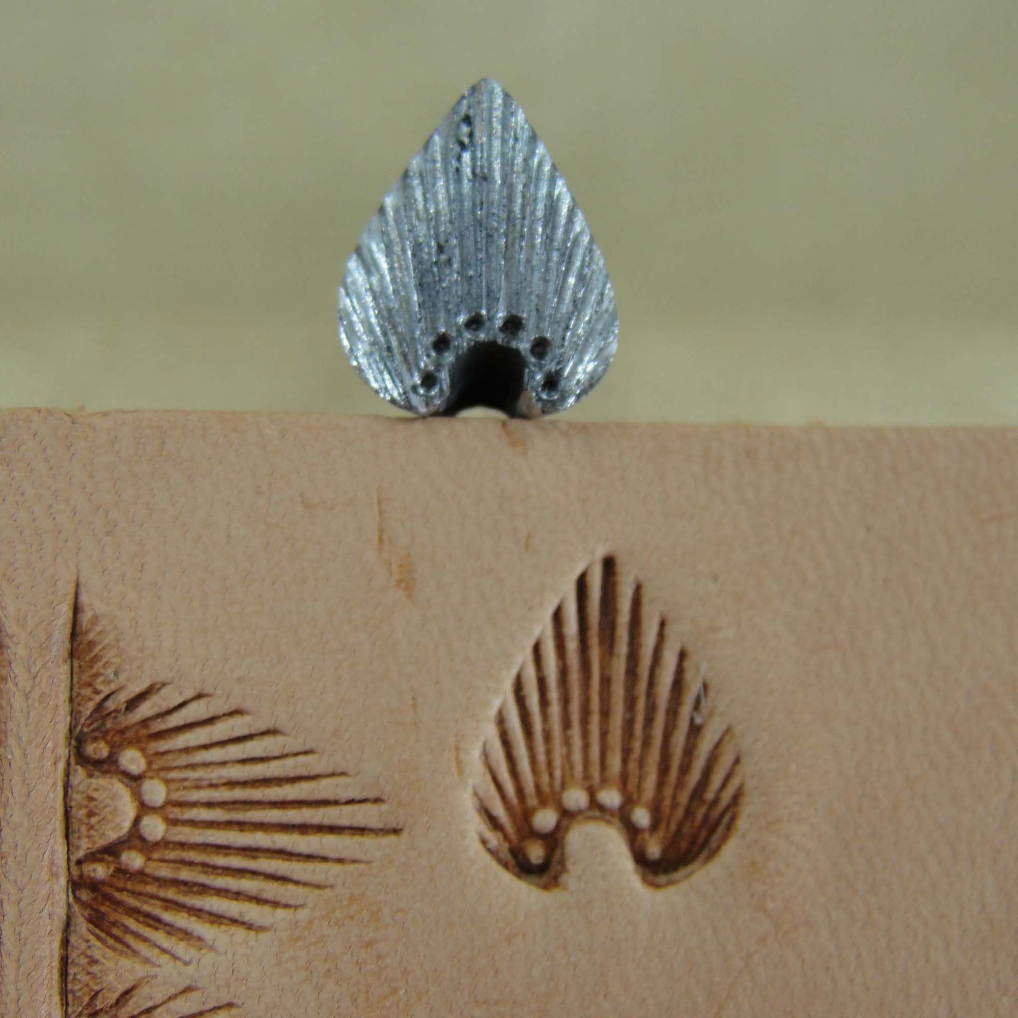 300 6-Seed Sunburst Border [USED]