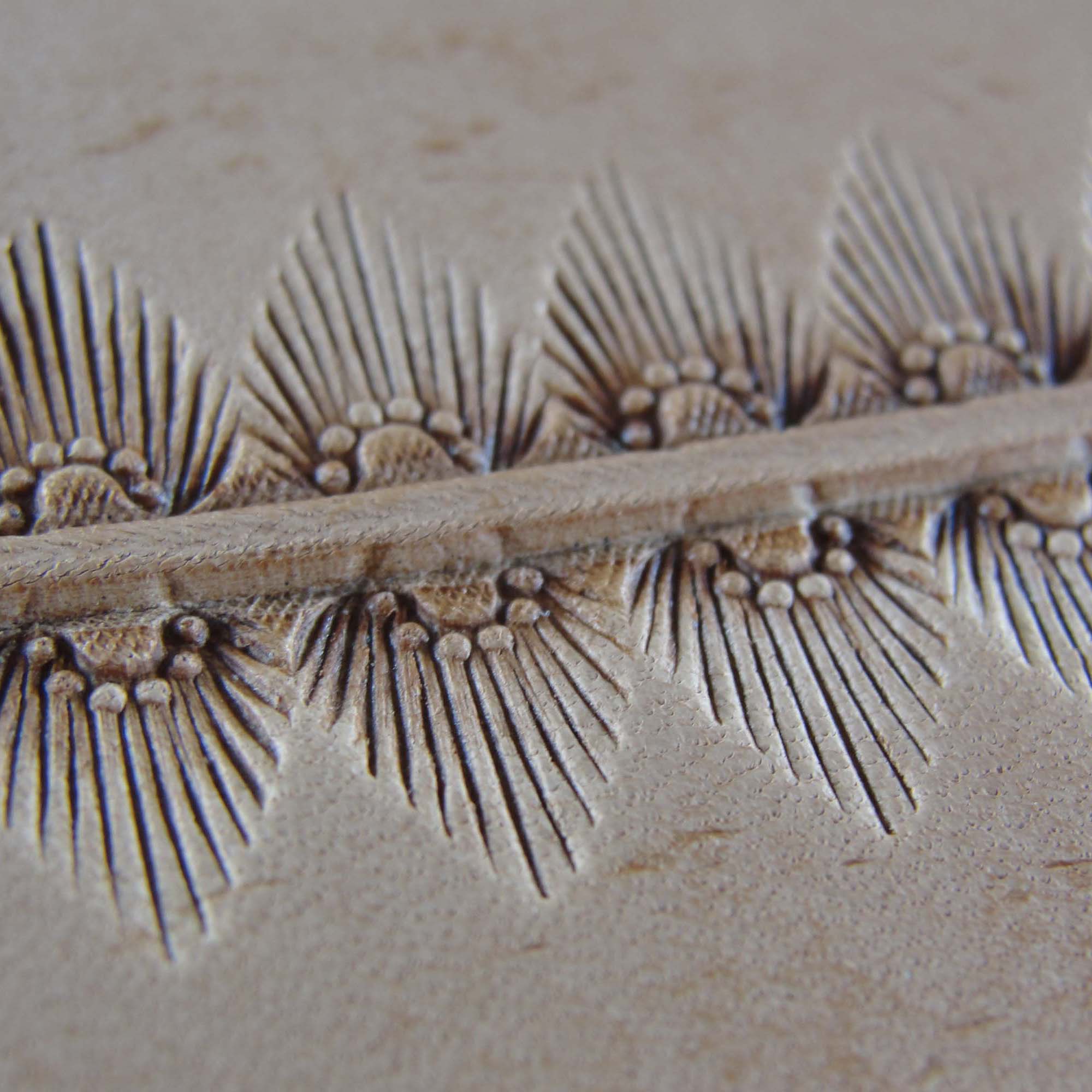 300 6-Seed Sunburst Border [USED]