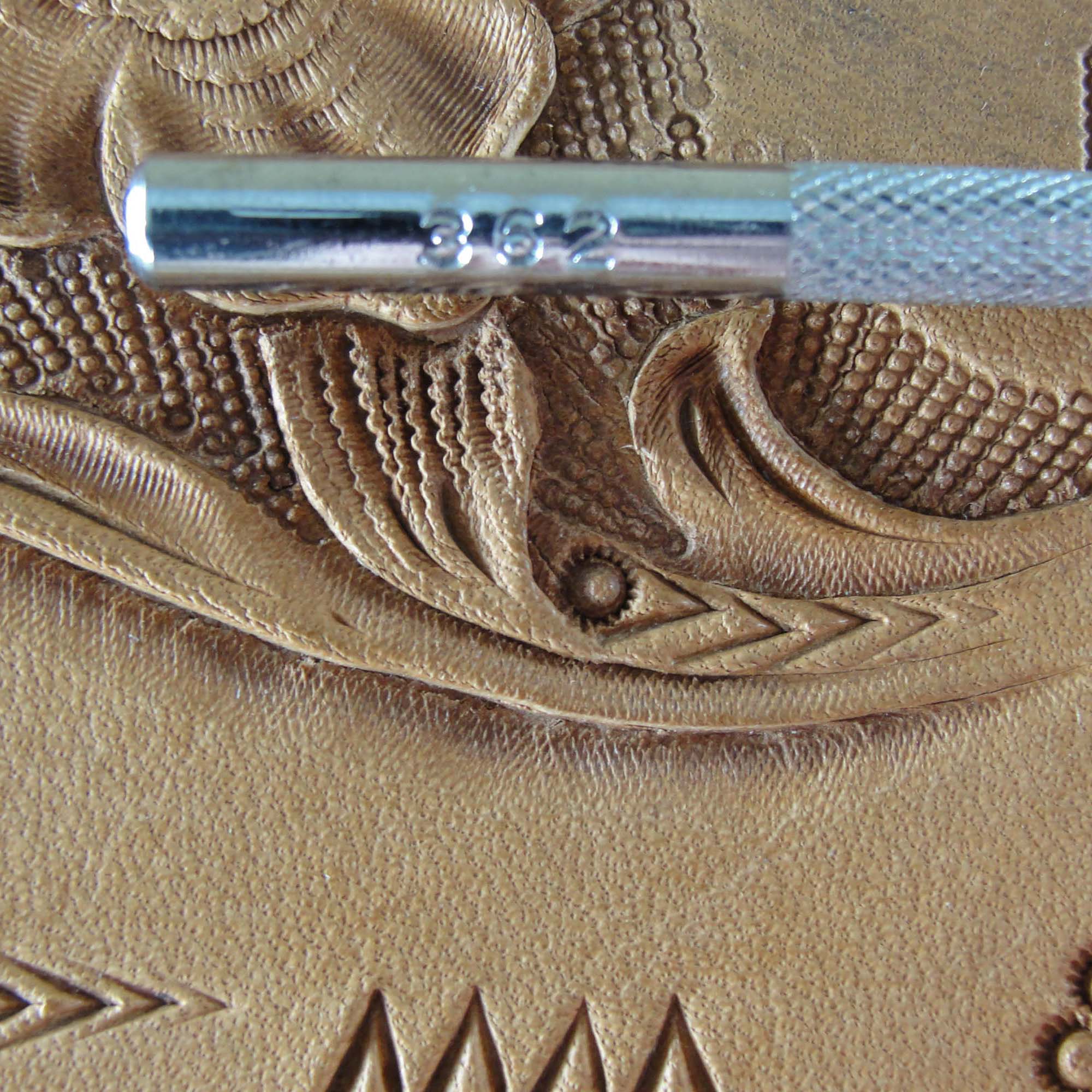 362 Mule's Foot / Border [USED]